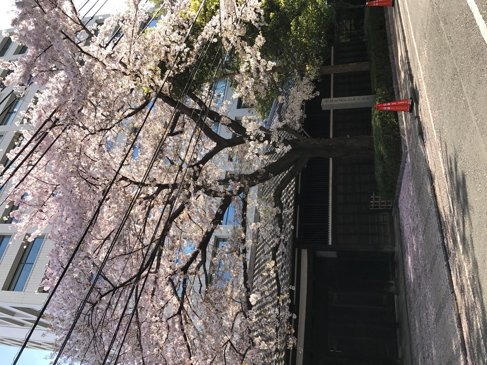 (c)2025o荻窪東町会
